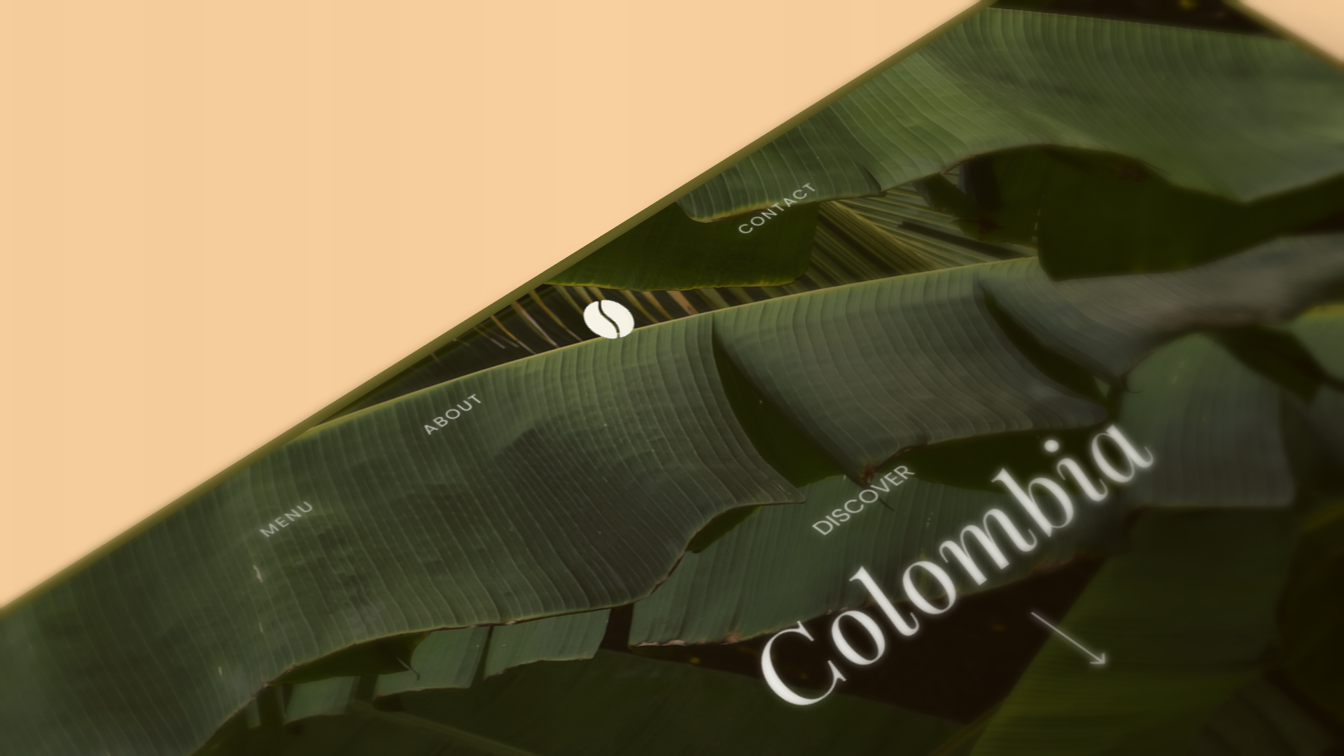 Bogotá Intercultural Showcase — Web Design and Visual Design project